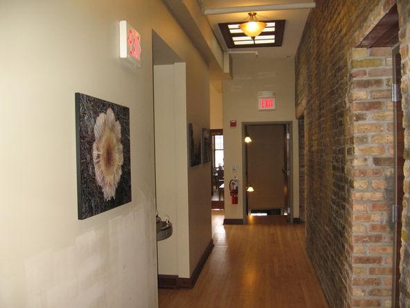 Office Space In Historic Building: 303 W Main St, St Charles, IL 60174